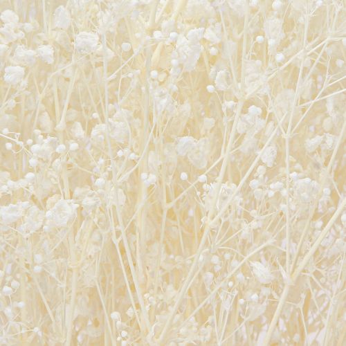 daiktų Gypsophila baltos džiovintos žolės dekoravimo kremas 65-70cm 100g