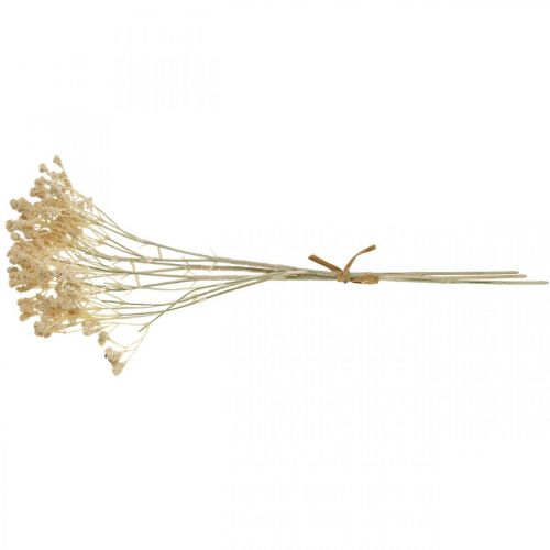 daiktų Dirbtinio gypsophila kremas gypsophila 46cm krūva iš 3 vnt