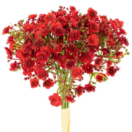Dirbtinis kūdikio kvėpavimas, raudonas, puokštė kaip gėlių dekoracija, 30 cm, 10 vnt.