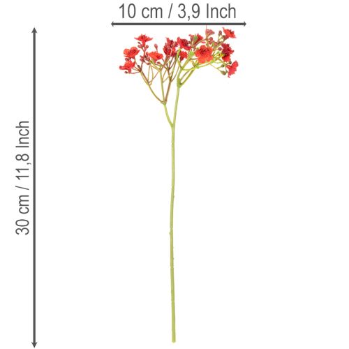 Dirbtinis kūdikio kvėpavimas, raudonas, puokštė kaip gėlių dekoracija, 30 cm, 10 vnt. | Floristik24.lt