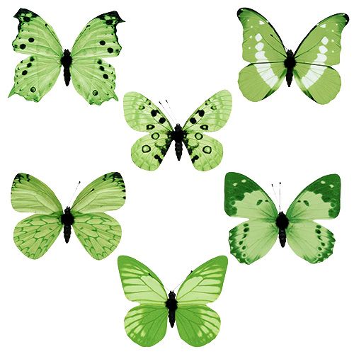 Floristik24 Drugelis žalias ant segtuko 10cm - 11cm 6vnt