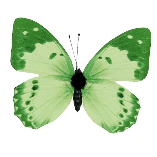 Floristik24 Drugelis žalias ant segtuko 10cm - 11cm 6vnt
