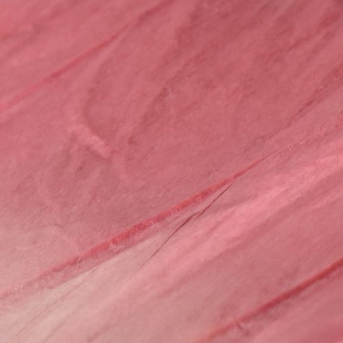 daiktų Didelė Pakabinama Drugelio Dekoracija, Elegantiška Sienų Dekoracija, 50cm, 2 Dalys