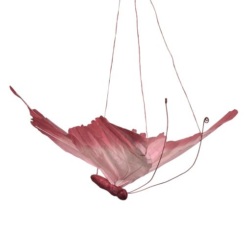 daiktų Didelė Pakabinama Drugelio Dekoracija, Elegantiška Sienų Dekoracija, 50cm, 2 Dalys