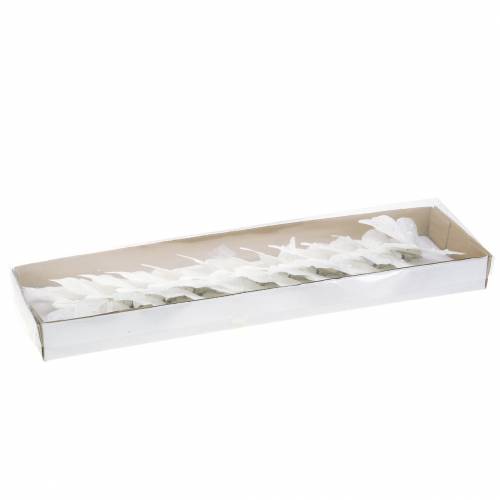 Floristik24 Plunksninis drugelis ant segtuko baltas 10 cm 12 vnt