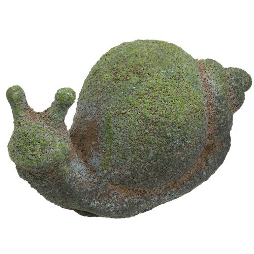 Floristik24 Sodo figūrėlė samanota sraigė 31cm x 17cm H17cm