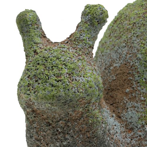 Floristik24 Sodo figūrėlė samanota sraigė 31cm x 17cm H17cm