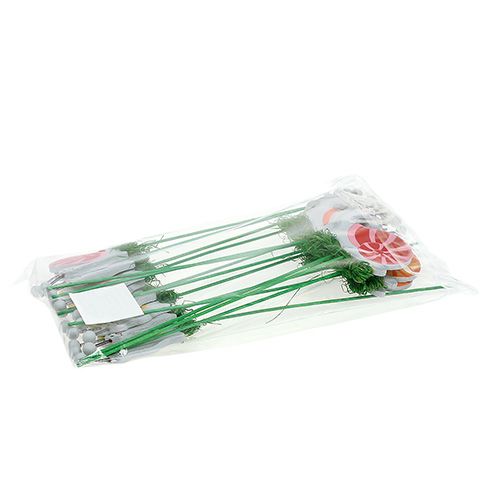 Floristik24 Sraigė kaip kamštis 7cm L28cm 15vnt