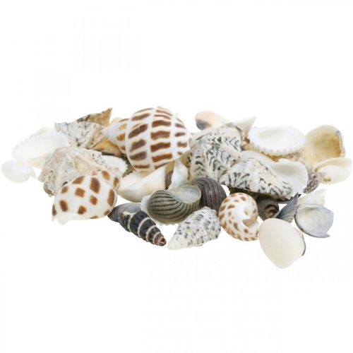 Midijos Mix Mini, Jūros sraigės, Natūralios midijos L1–4cm 1000g