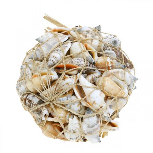daiktų Deco sraigių kiautai tušti tinklelyje Jūros sraigės 400g