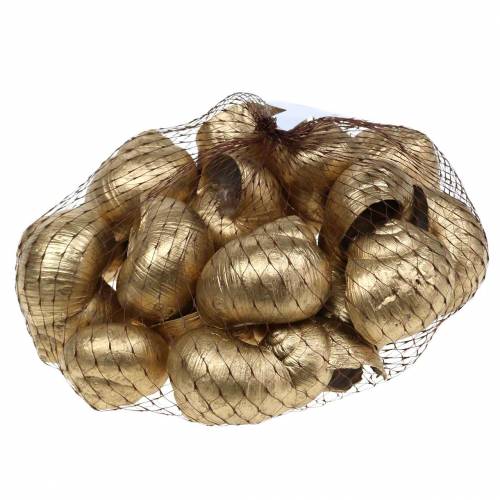 Floristik24 Sraigės kiautas Golden 24 St natūrali puošmena