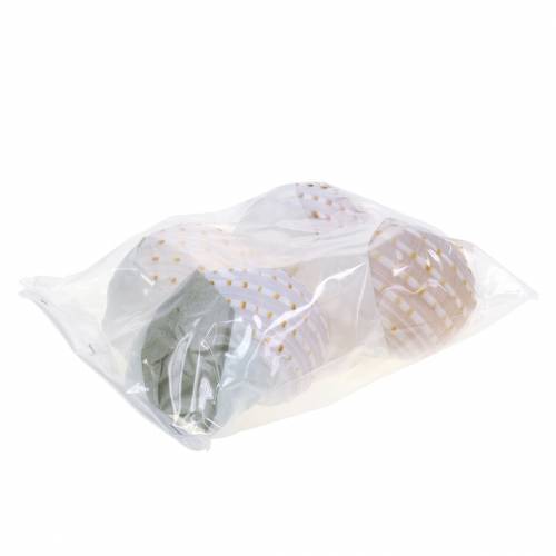 Floristik24 Dekoratyvinė kiaukutė sraigė Tonna tessellata natural 10-13cm 4 vnt