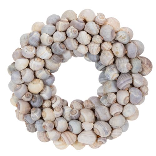 Floristik24 Sraigių vainikas pakabinimui, dekoratyvinis vainikas, jūrinio stiliaus, Nathai, Ø35cm