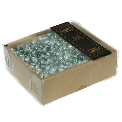 Floristik24 Sraigės moliuskai mėlynai žali 500g
