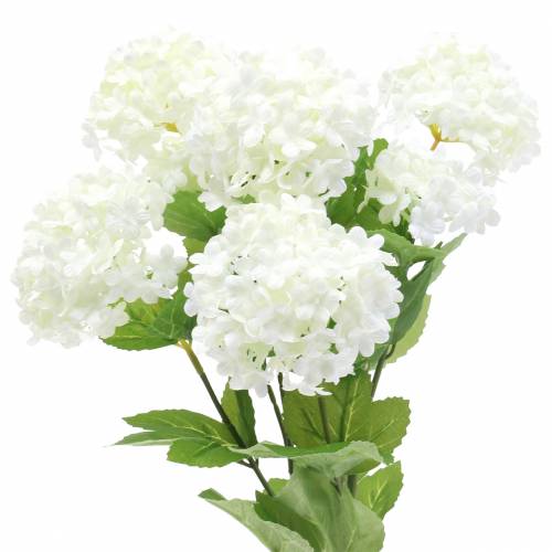 Floristik24 Sniego gniūžtės Viburnum šakelė balta 42,5 cm