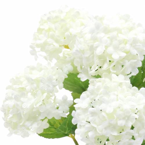Floristik24 Sniego gniūžtės Viburnum šakelė balta 42,5 cm