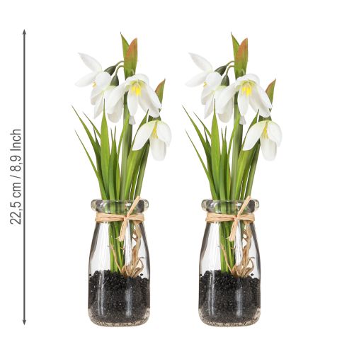 daiktų Snieguolės dirbtinės stiklinės dirbtinės gėlės baltos 22,5cm 2vnt