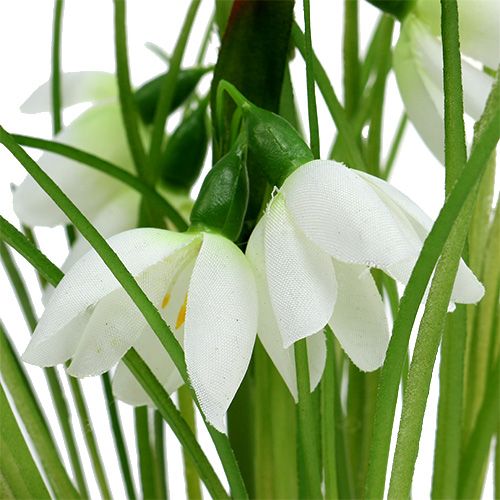 Floristik24 Snieguolė su žolės kamuoliuku 24cm