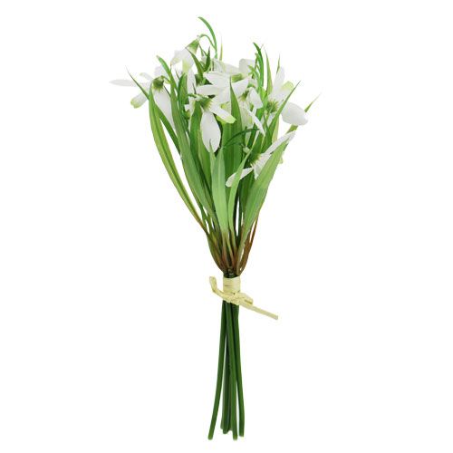 Floristik24 Snieguolė 23cm 7vnt