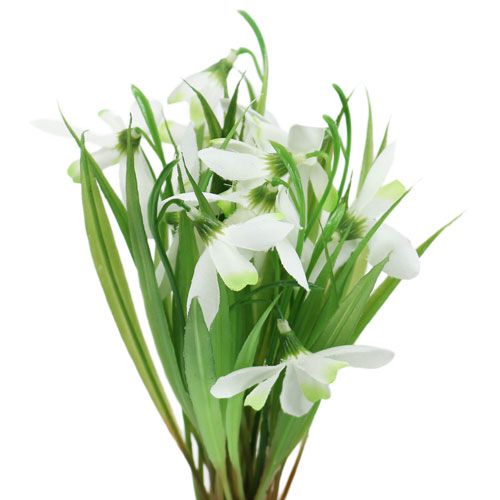 Floristik24 Snieguolė 23cm 7vnt