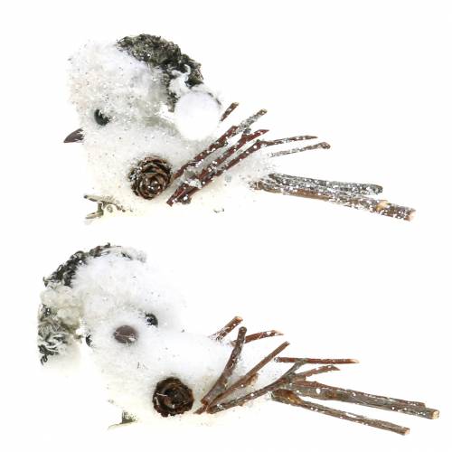 Floristik24 Sniego paukštis ant segtuko 8cm x 6,5cm 6 vnt