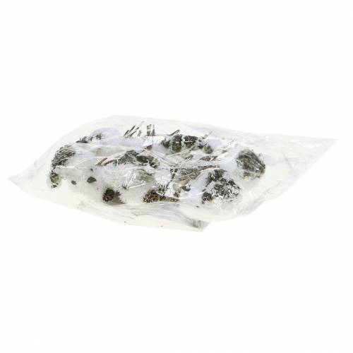 Floristik24 Sniego paukštis ant segtuko 8cm x 6,5cm 6 vnt