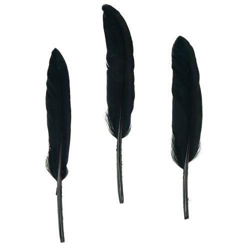 Floristik24 Juodos plunksnos Dekoratyvinės žąsies plunksnos Juodos 11-14cm 180vnt