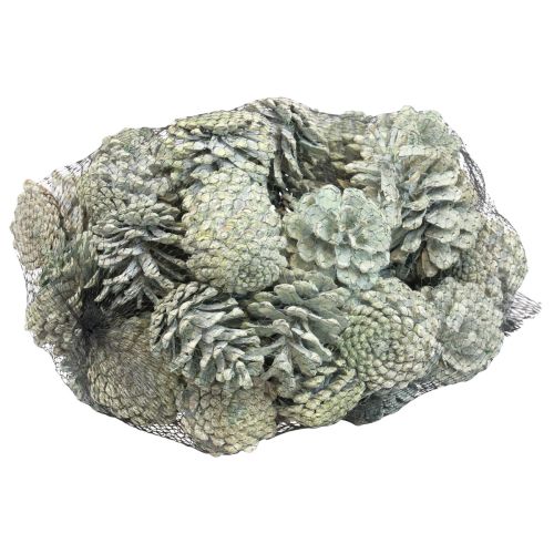 daiktų Juodieji kankorėžiai žaliai matinė natūrali puošmena 5-7cm 1kg