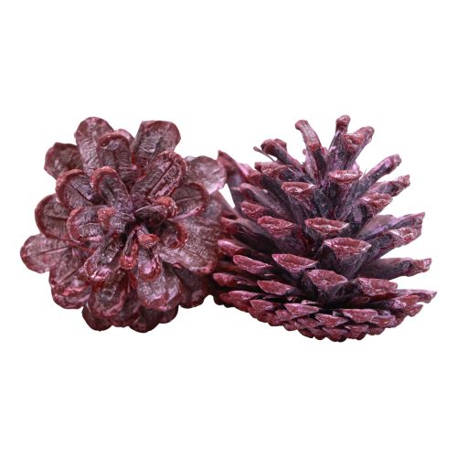 daiktų Juodi kankorėžiai raudoni natūrali puošmena matiniai 5-7cm 1kg