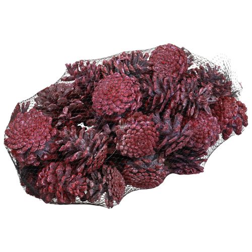 daiktų Juodi kankorėžiai raudoni natūrali puošmena matiniai 5-7cm 1kg