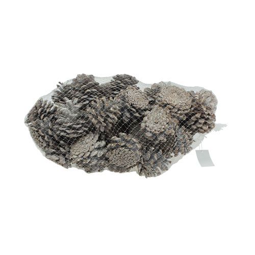daiktų Juodieji kankorėžiai 5-9cm Balti skalbti 1kg