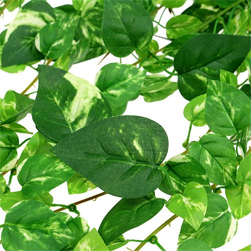 Floristik24 Scindapsus dirbtinė ūselė 90cm