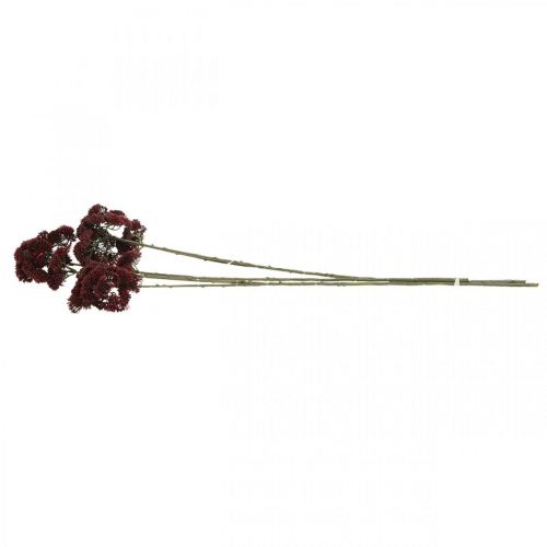 Floristik24 Sedum dirbtinis raudonas akmenukas rudeninis dekoras 70cm 3vnt
