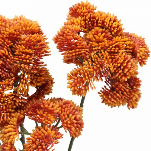 Floristik24 Sedum dirbtinė sedum oranžinė rudens puošmena 70cm 3vnt