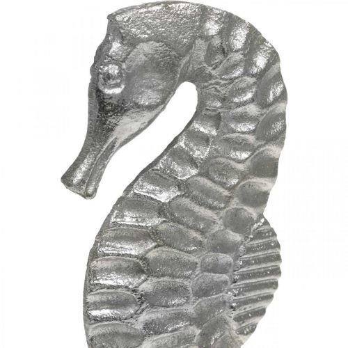 Floristik24 Jūrų arkliukas į vietą, jūros dekoracija iš metalo, jūrinė skulptūra sidabras, natūralios spalvos H22cm