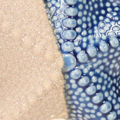 daiktų Starfish porcelianinis smėlio mėlynas stalo dekoravimas jūrinis Ø15cm 2vnt