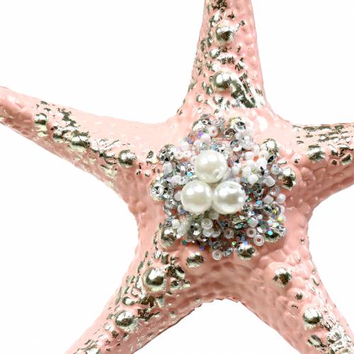 Floristik24 Deco kabykla jūrų žvaigždė 12cm 3vnt