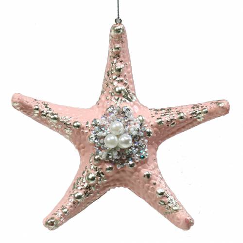Floristik24 Deco kabykla jūrų žvaigždė 12cm 3vnt