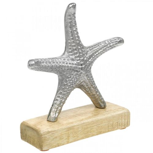 Floristik24 Metalinė jūrų žvaigždė, jūrinė apdaila, dekoratyvinė skulptūra sidabras, natūralios spalvos H18cm