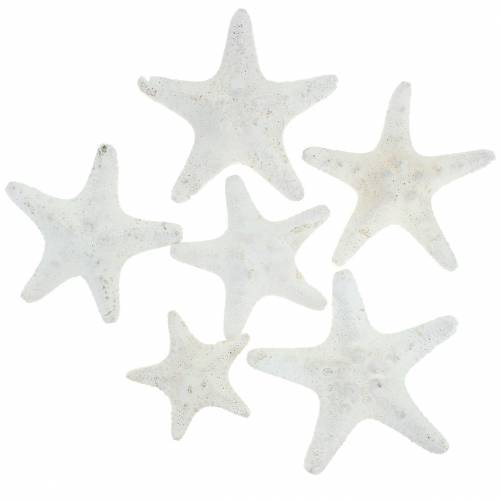 Floristik24 Rankenėlės jūrų žvaigždės baltos 30vnt