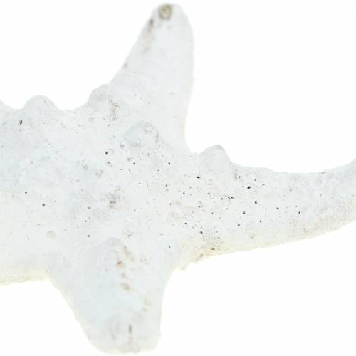 daiktų Rankenėlės jūrų žvaigždės baltos 30vnt