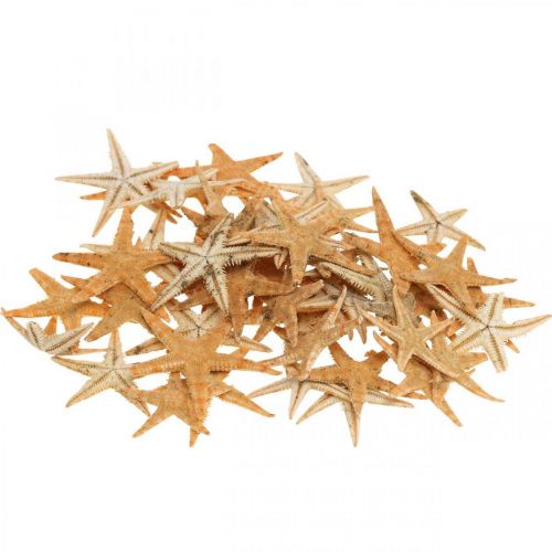 daiktų Jūrų žvaigždžių sklaidos dekoravimas home deco mini starfish nature 2-4cm 50p