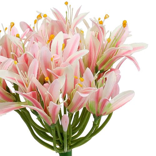 Floristik24 Šilkinė gėlė agapanthus rožinė 80cm