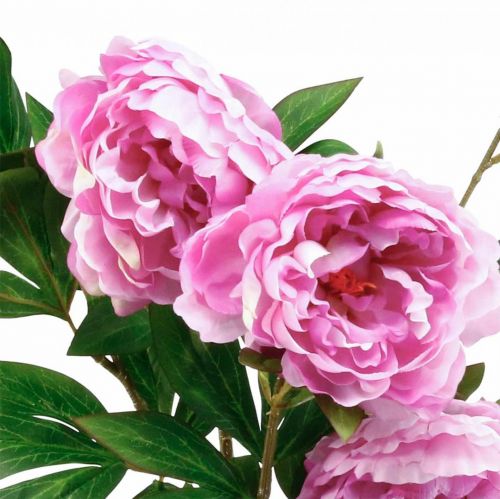 Floristik24 Šilko gėlių bijūnas dirbtinis rožinis violetinis 135cm