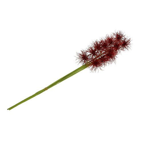 Floristik24 Šilkinės gėlės Xanthium Bordeaux 64cm 4vnt