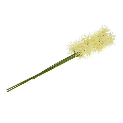 Floristik24 Šilkinės gėlės xanthium kremas 63cm 4vnt