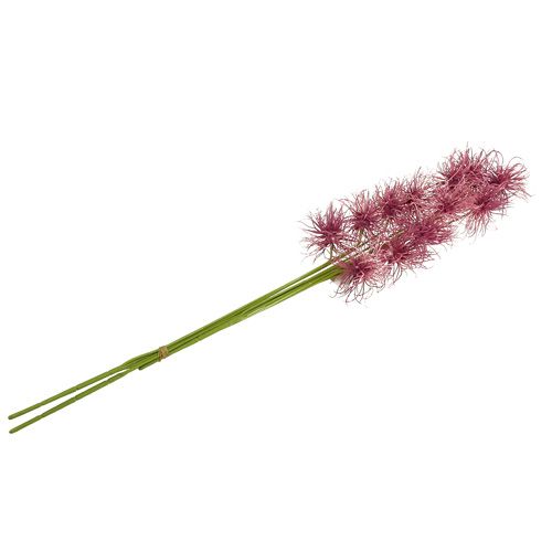 Floristik24 Šilkinės gėlės Xanthium viržiai 63cm 4vnt