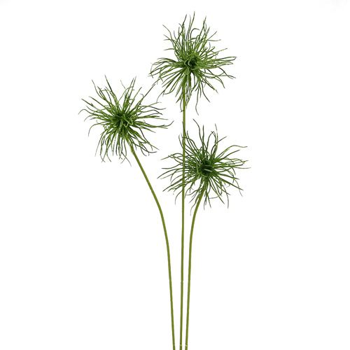 Floristik24 Šilkinės gėlės xanthium green 63cm 4vnt