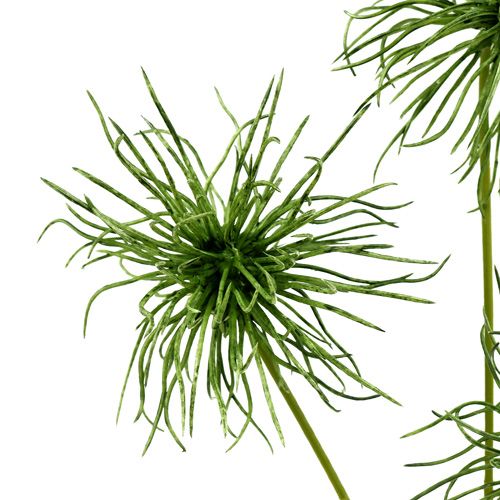 Floristik24 Šilkinės gėlės xanthium green 63cm 4vnt
