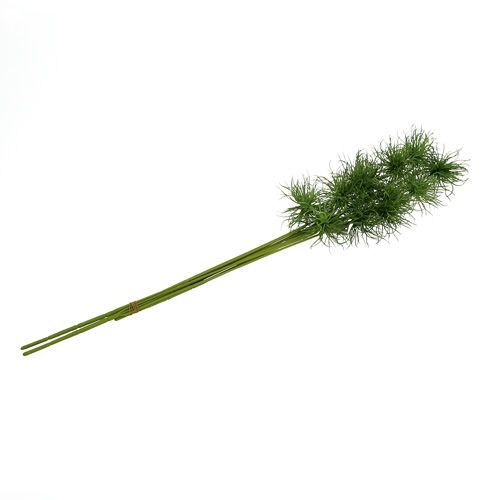 Floristik24 Šilkinės gėlės xanthium green 63cm 4vnt
